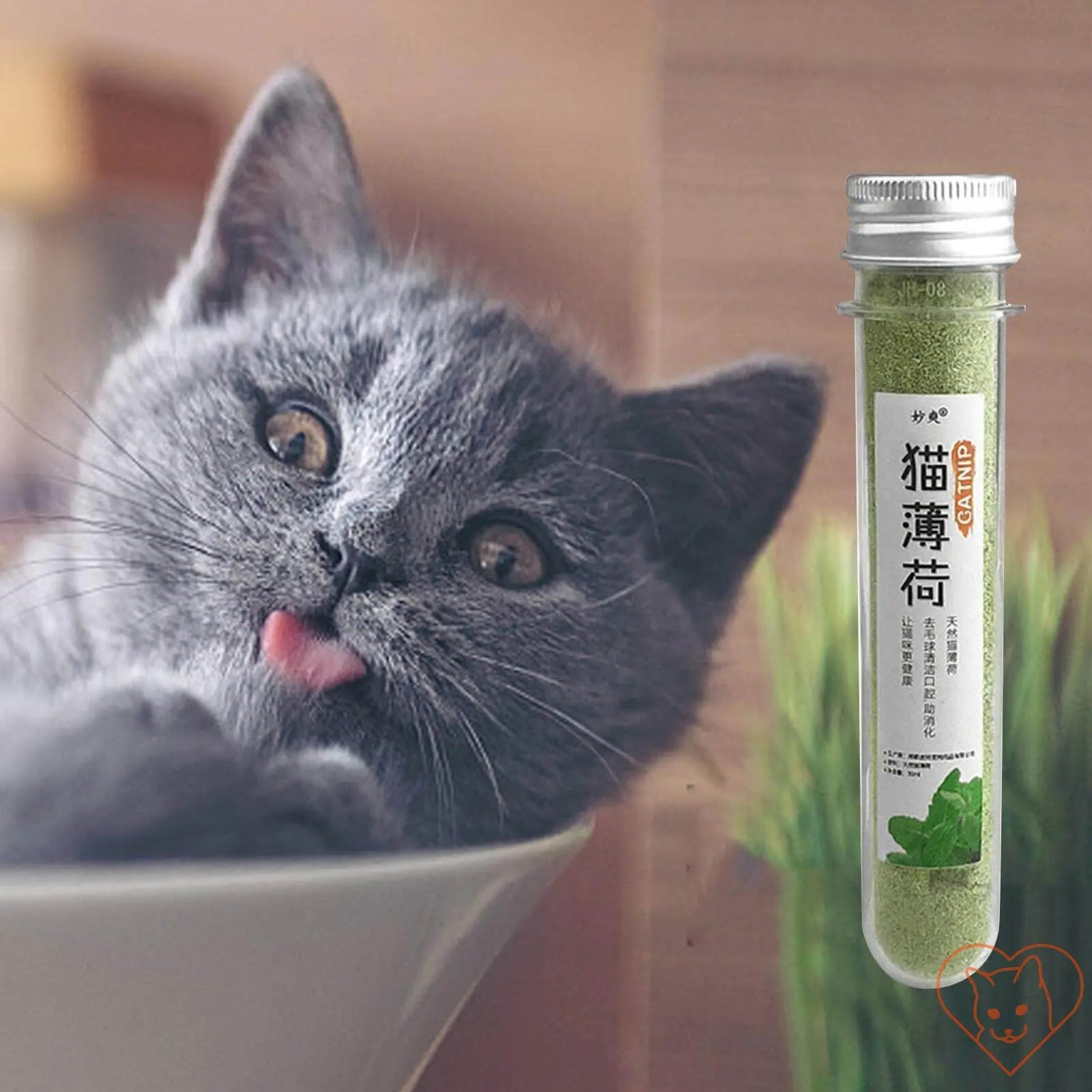 Gray cat sticking out its tongue next to a bottle of Natural Catnip Treats for Cats.