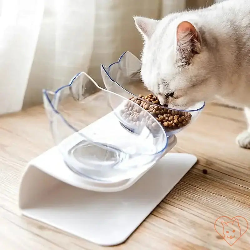 Non-slip double cat bowl with 15° tilt design and a cat eating kibble.