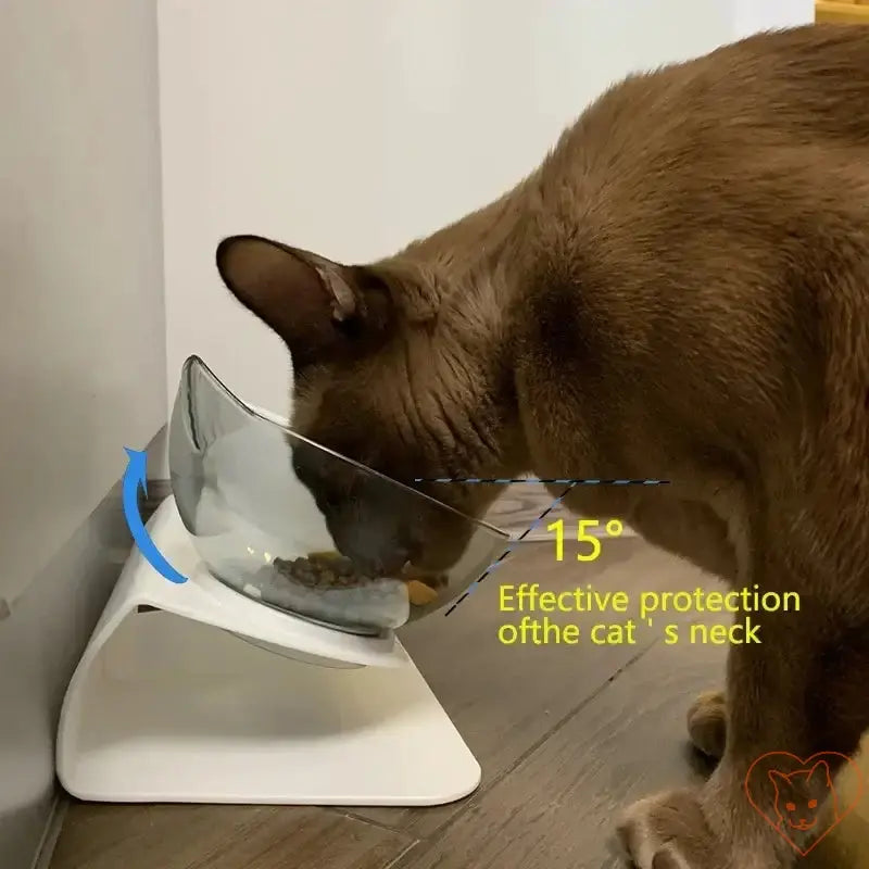 Cat using non-slip double bowl with a 15° tilt design for comfortable feeding and neck protection.