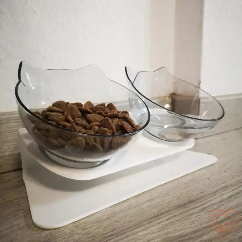 Non-slip double cat bowl with stand, featuring 15° tilted design for comfortable feeding, filled with cat kibble.