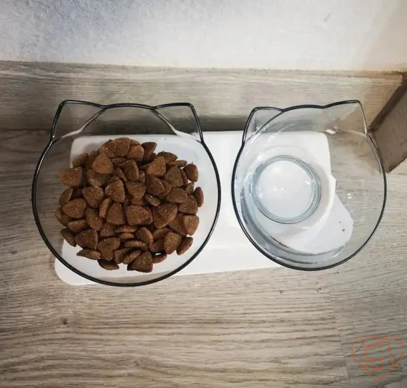 Non-slip double cat bowl with stand, featuring a 15° tilt design for comfortable feeding.