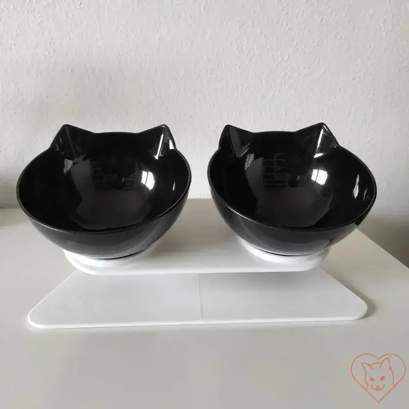 Non-slip double cat bowl with stand, ergonomic 15° tilt design for comfort and hygiene during mealtime.