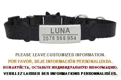 Personalized black cat collar with bell and engraved name tag for safety and style.