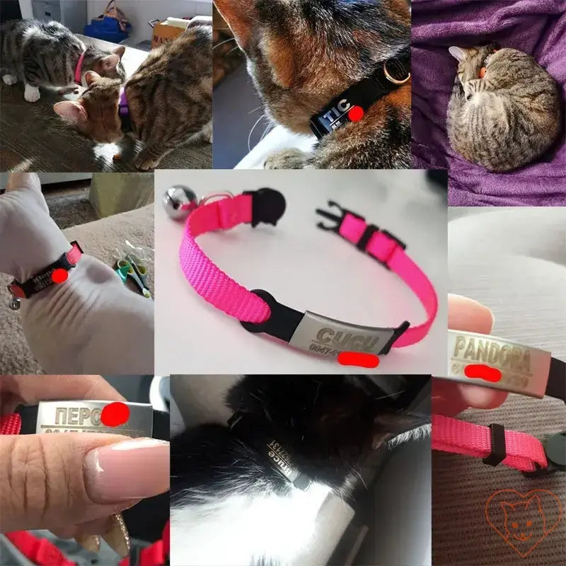 Collage of personalized cat collars featuring breakaway design, adjustable nylon material, and engraved name tags.