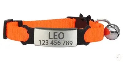 Personalized cat collar with bell, adjustable orange nylon, engraved with pet name and contact number for safety.