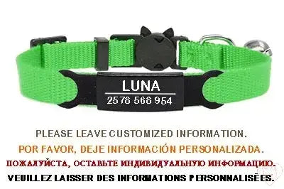 Personalized green cat collar with bell and breakaway buckle, featuring custom engraving for pet safety.