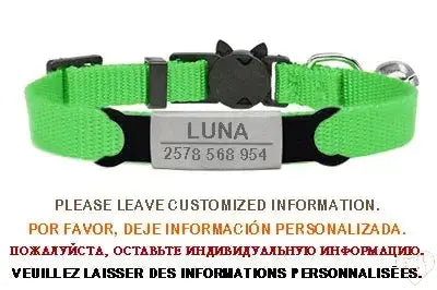 Personalized bright green cat collar with bell, featuring engraved name and contact details for safety.