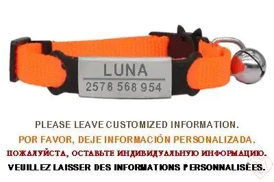 Personalized orange cat collar with bell featuring engraved name and contact details for safety.