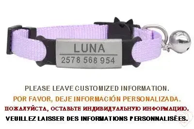 Personalized cat collar with bell, featuring custom engraving for safety and style.