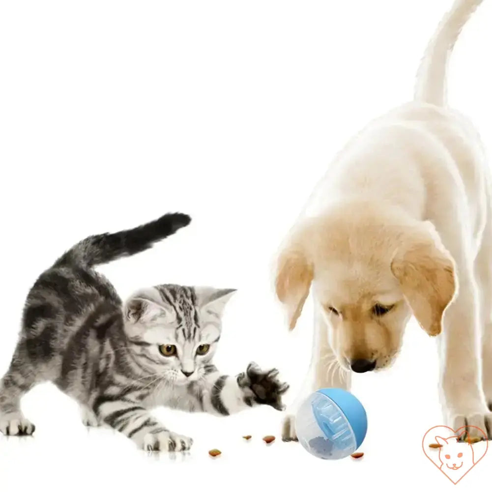 Playful kitten and puppy engaging with a blue interactive food ball for training and slow feeding.