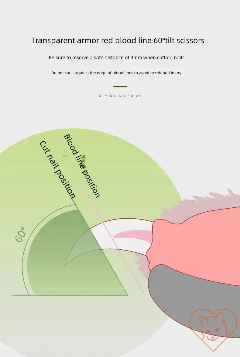 Diagram showing 60° tilt for safe pet nail clipping with bloodline position and cutting instructions.