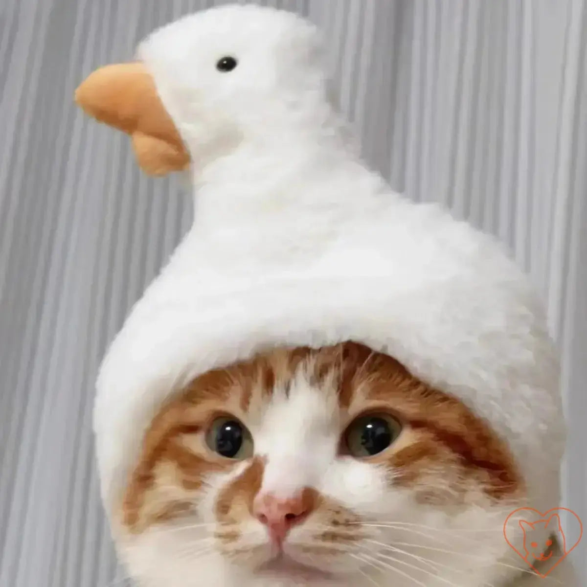 Cute orange and white cat wearing a fluffy plush duck hat, ideal for pet cosplay and cozy autumn fun.