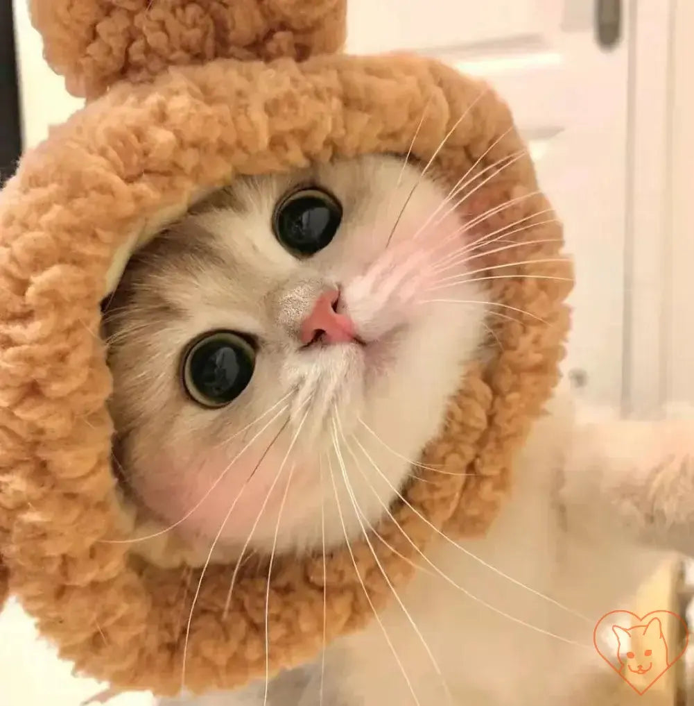 Cute cat wearing a plush animal headband with bunny ears, showcasing its adorable face and cozy look.