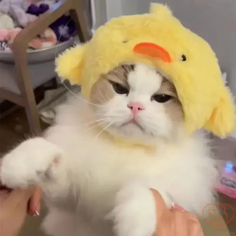 Adorable cat wearing a yellow duck plush headband, showcasing a cute and cozy look for autumn and winter.