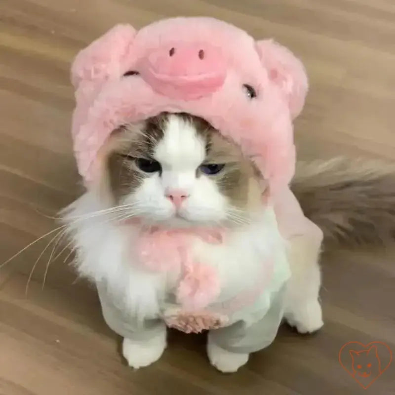 Cute cat wearing a plush pig headband costume, showcasing adorable autumn pet fashion. Perfect for cozy photoshoots!