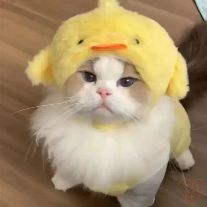 Adorable cat wearing a cute yellow plush duck hat, showcasing a cozy and fun cosplay look. Perfect for autumn and winter!