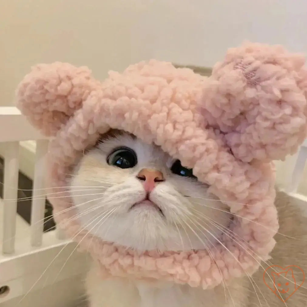 Cat wearing a cute pink plush animal headband with bear ears for cozy autumn and winter fun.