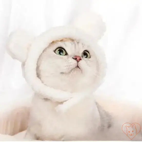 Cute cat wearing a white plush animal headband with ears, looking cozy and adorable against a light background.