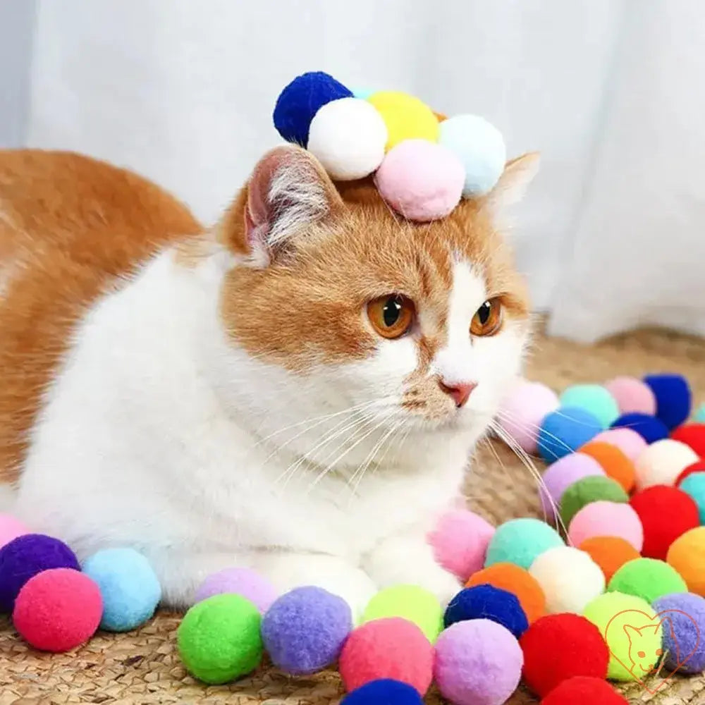 Cat with colorful plush balls around it, showcasing interactive playtime and fun with the Plush Ball Shooting Gun.