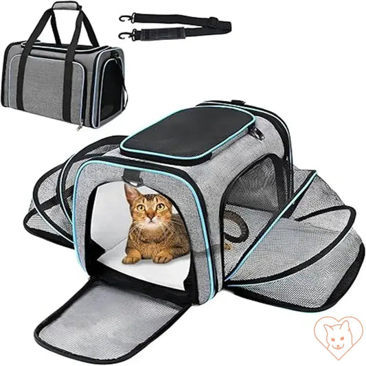 Portable foldable cat carrier backpack with breathable mesh design and cute cat inside.