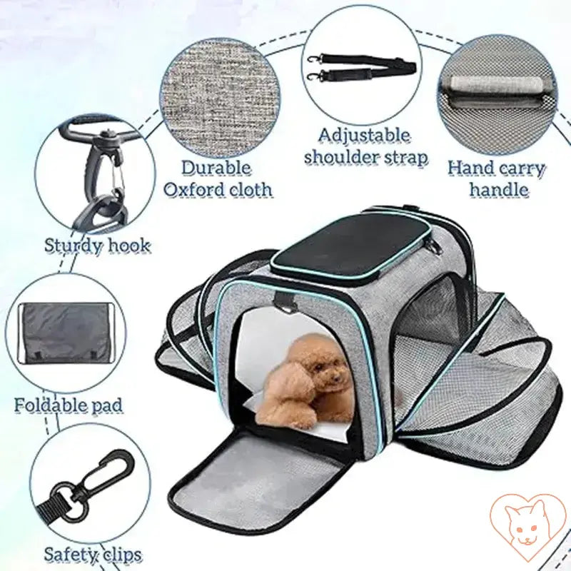 Portable cat carrier backpack featuring breathable mesh, adjustable strap, sturdy hook, and foldable design with pet inside.