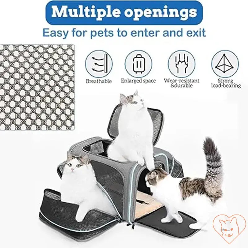 Portable cat carrier backpack with breathable mesh, featuring multiple openings for easy pet access.