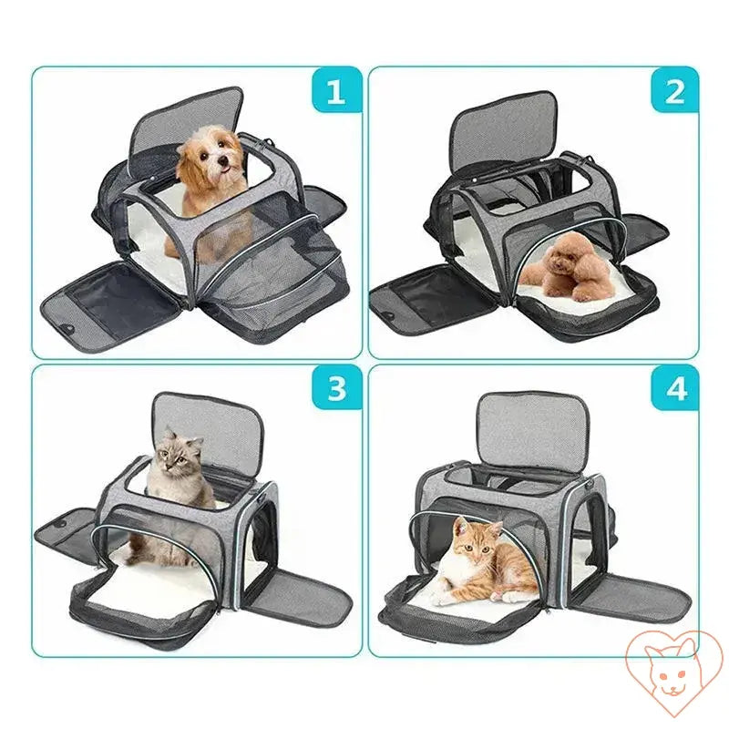 Various views of a Portable Foldable Cat Carrier Backpack with pets inside, featuring breathable mesh for comfort.