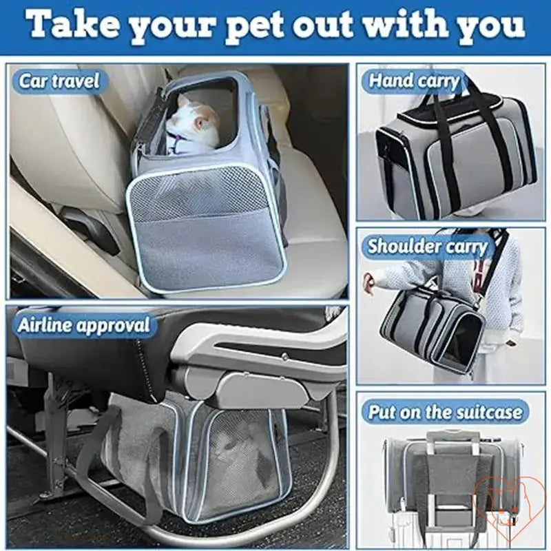 Portable foldable cat carrier backpack in various travel situations: car, hand carry, shoulder carry, airline approved.