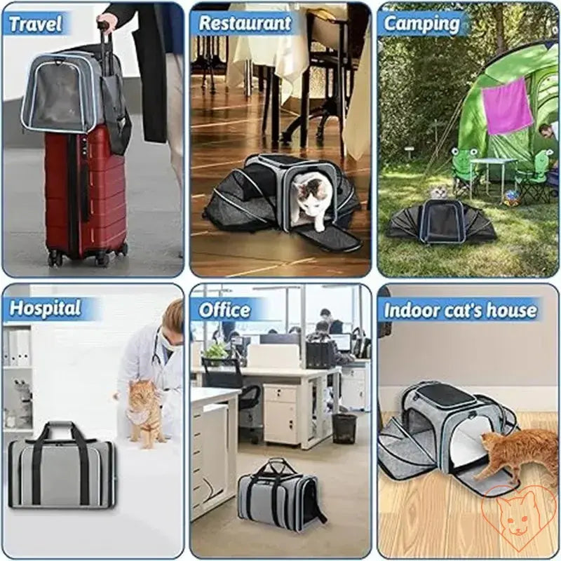 Versatile portable cat carrier in travel, restaurant, camping, hospital, office, and indoor settings.