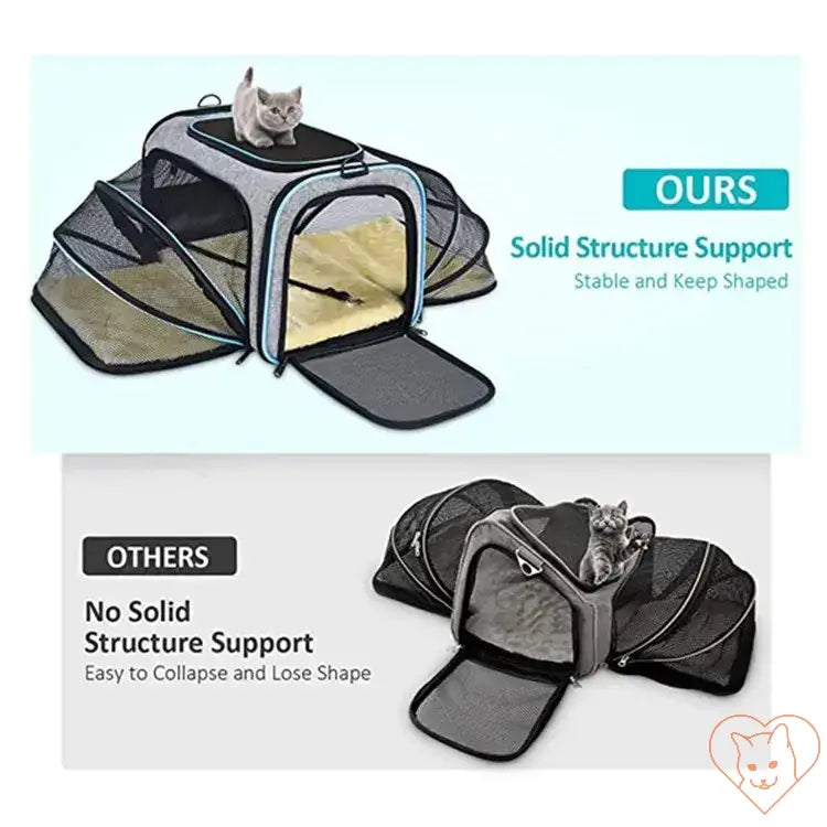 Comparison of cat carriers: ours with solid support and breathable design vs others that collapse easily.