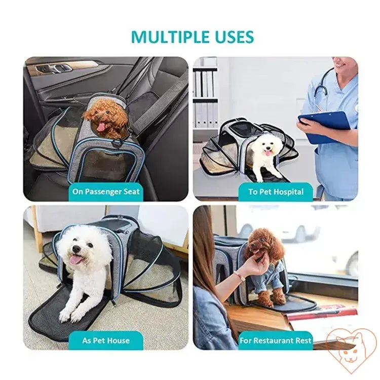 Collage of dogs using a portable foldable carrier for travel, vet visits, home use, and dining out.