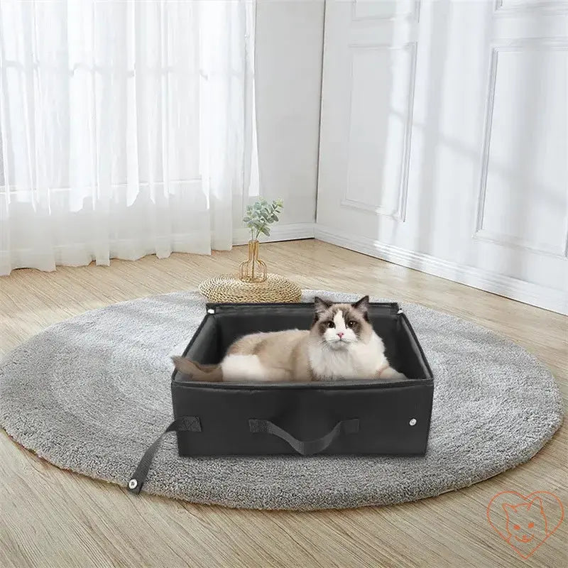 Foldable cat litter box with a cat sitting comfortably inside, placed on a round rug in a bright room.