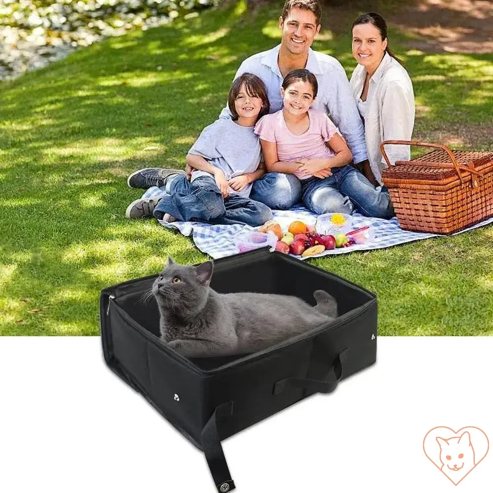 Family enjoying a picnic with a portable foldable cat litter box and a relaxed cat inside.