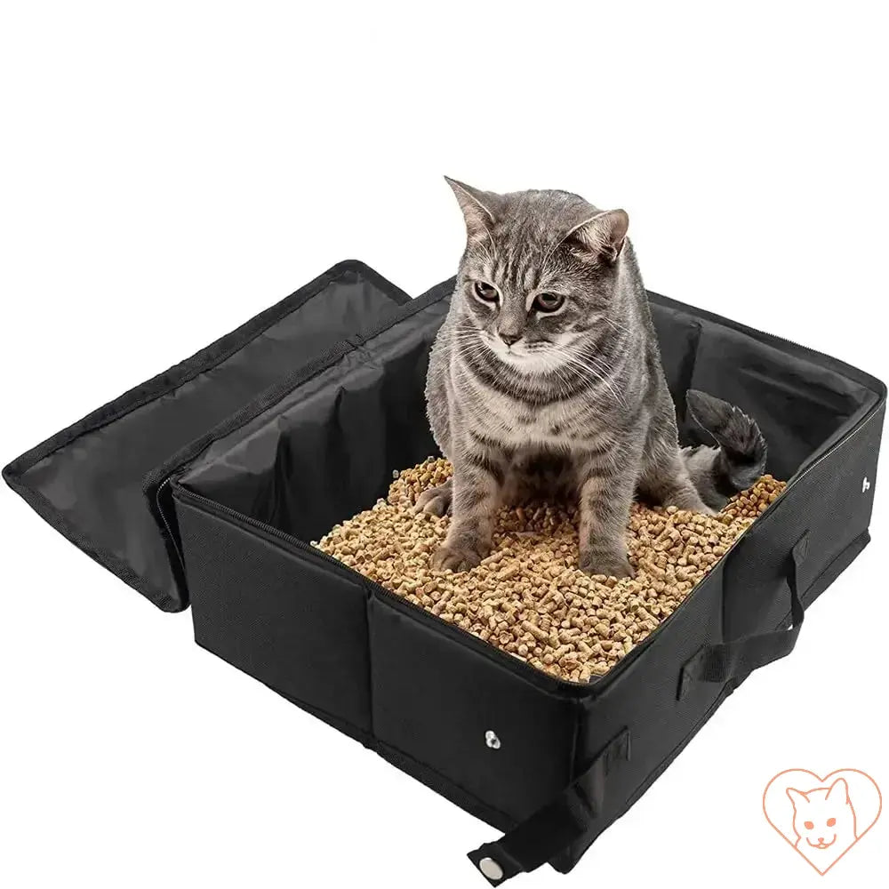 Gray cat sitting in a portable foldable litter box filled with pellets, ideal for travel and home use.