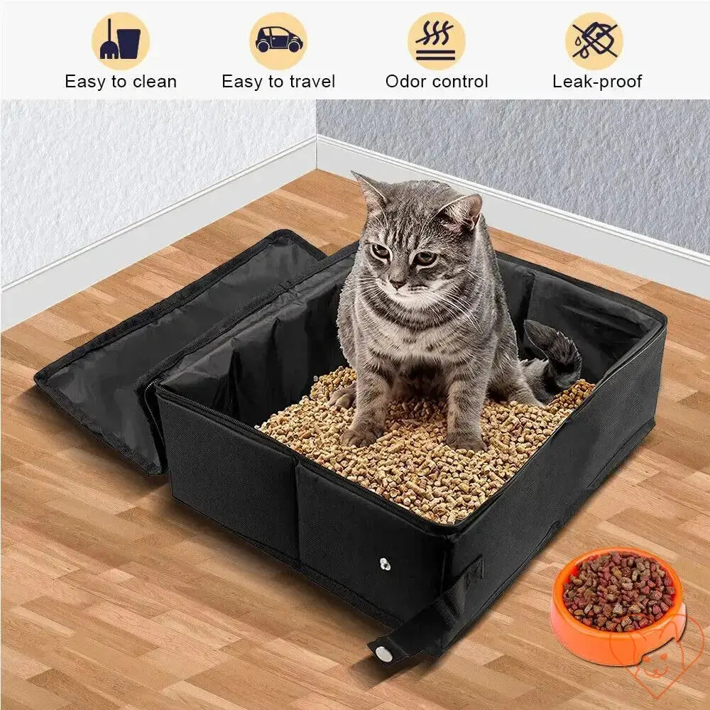 Portable foldable cat litter box with a cat sitting inside on a wooden floor, highlighting travel convenience and ease of cleaning.