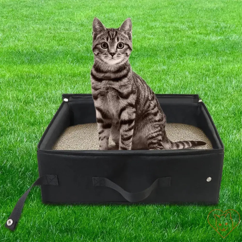 Gray tabby cat sitting in a portable foldable cat litter box on grass, showcasing its travel-friendly design.