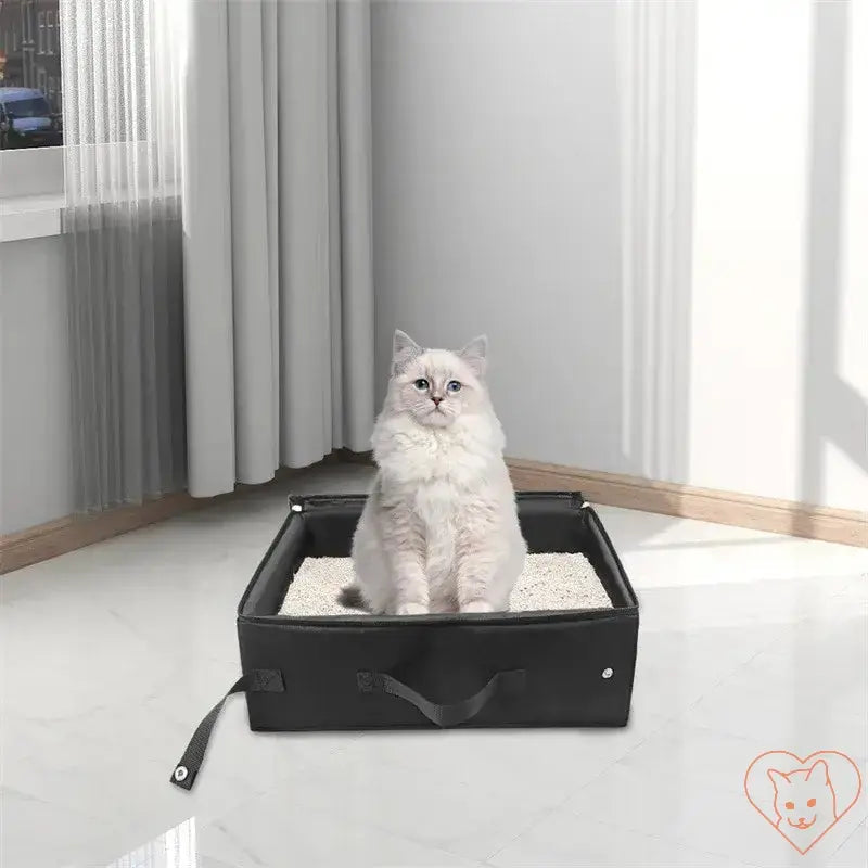 White fluffy cat sitting in a portable foldable cat litter box indoors, showcasing a travel-friendly design.