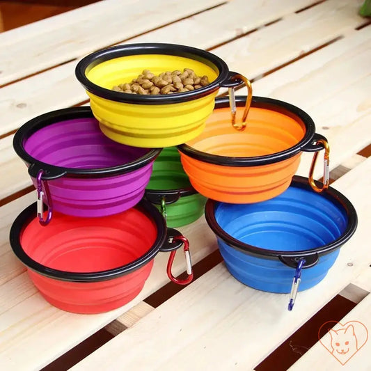 Colorful portable folding silicone pet bowls stacked with dog food for cats and small pets.