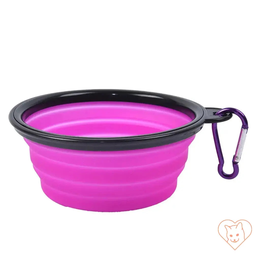 Portable pink folding silicone pet bowl with carabiner for easy travel, perfect for small pets.