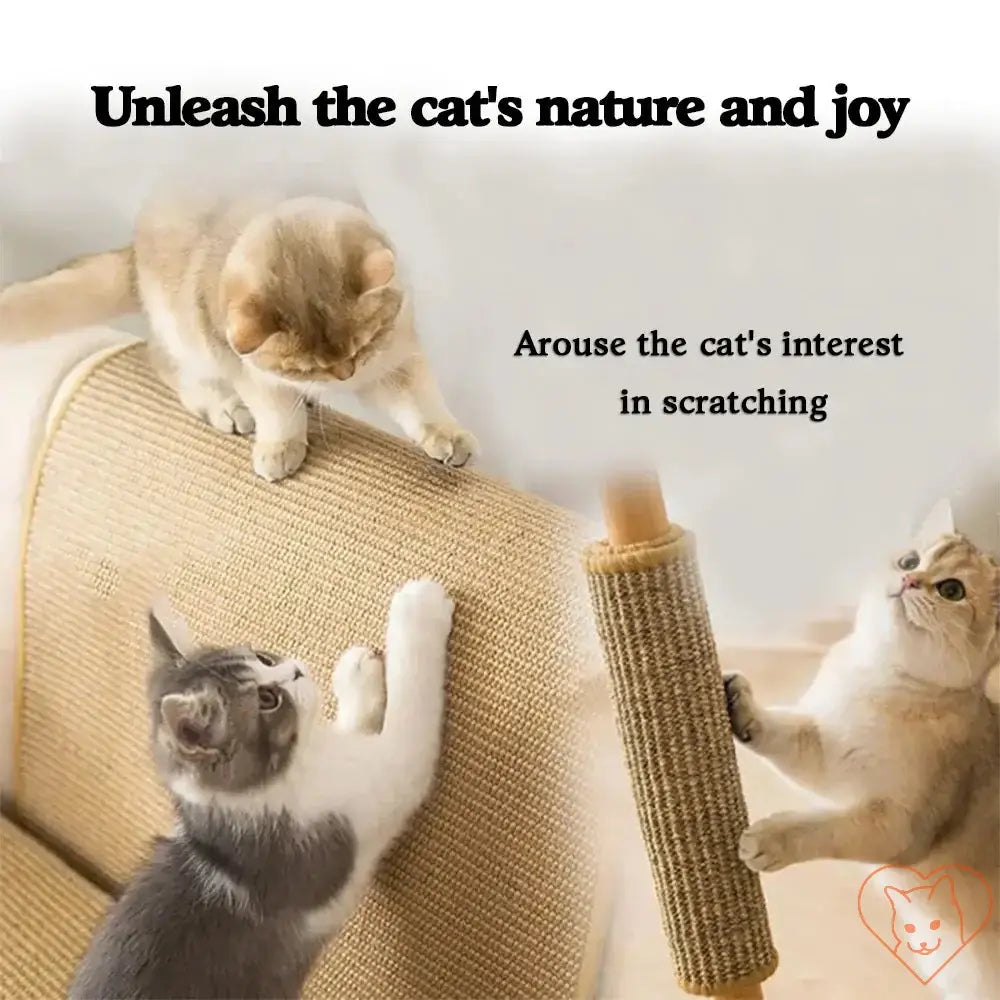 Two playful cats scratching on a sisal mat, showcasing their natural behavior and joy.