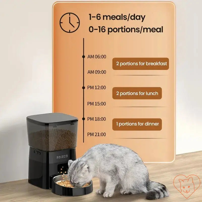 ROJECO Automatic Pet Feeder showing feeding schedule for a cat with meal portions and times.