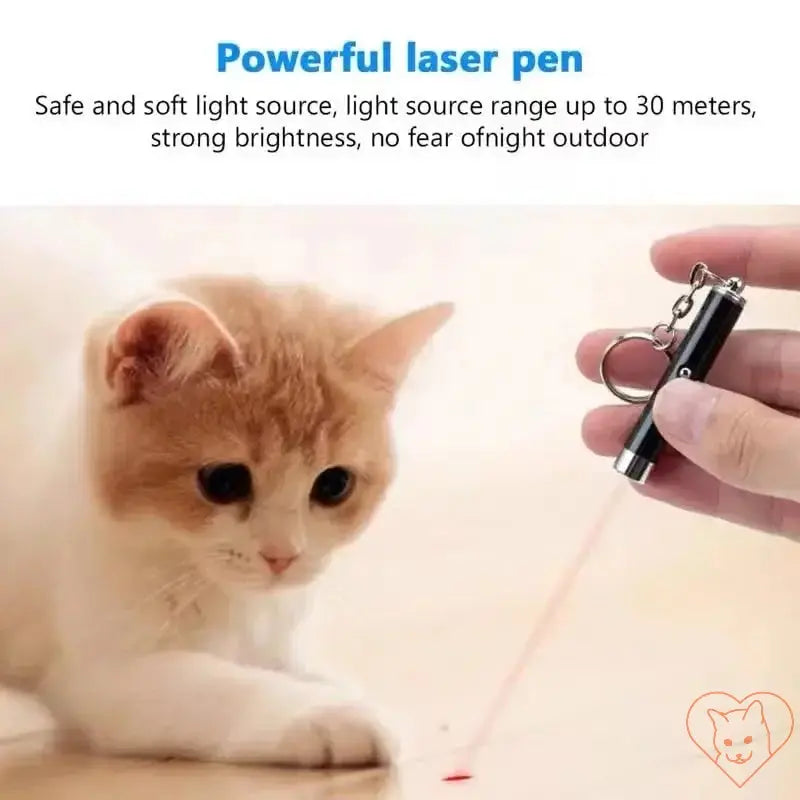 Cat playing with red laser pointer, showcasing interactive entertainment with a powerful laser pen.