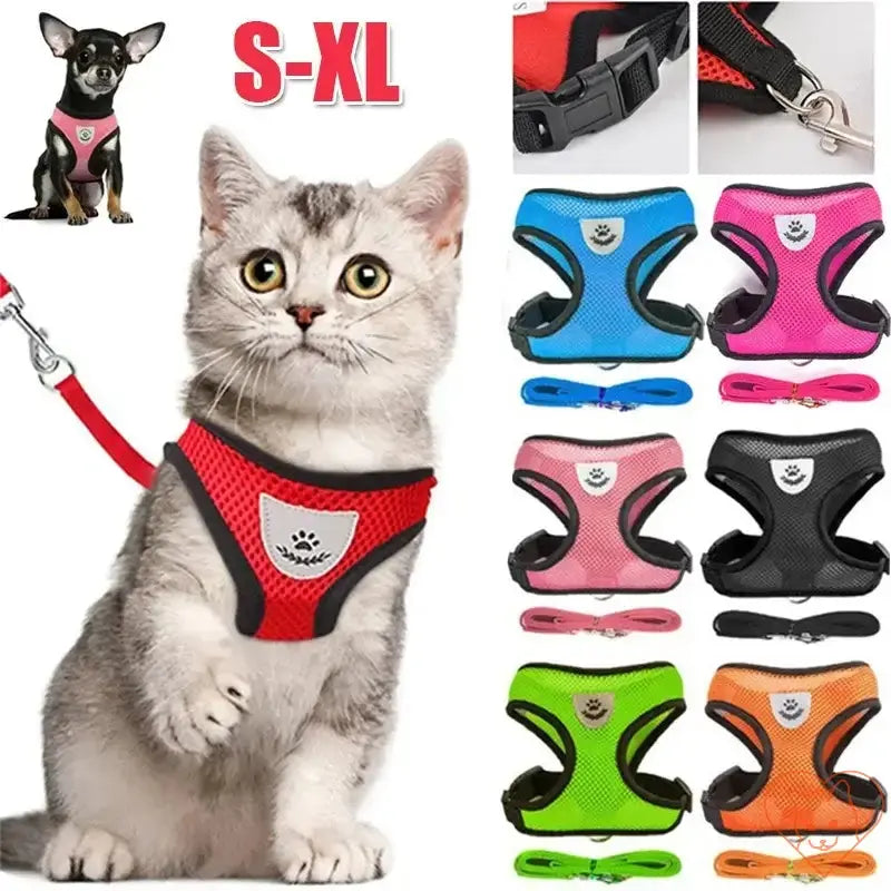 Reflective mesh cat harness with leash set, available in various colors, designed for comfort and safety during outdoor walks.