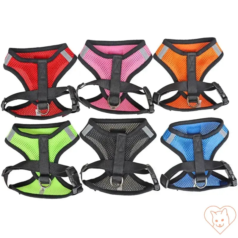 Colorful reflective mesh cat harnesses in various sizes for outdoor adventures.