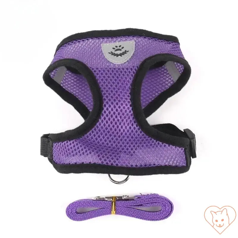 Reflective mesh cat harness in purple with leash set, designed for safety and comfort during outdoor adventures.