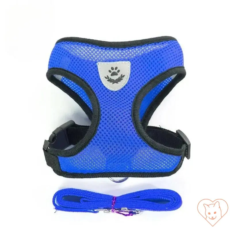 Reflective mesh cat harness in blue with leash set for secure outdoor adventures.