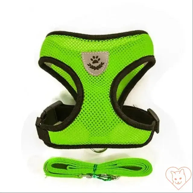 Reflective mesh cat harness in bright green with matching leash set for safe outdoor adventures.