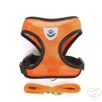 Reflective mesh cat harness with leash set in orange, designed for comfort and safety during outdoor adventures.