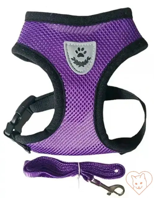 Purple reflective mesh cat harness with matching leash, designed for comfort and safety during outdoor walks.