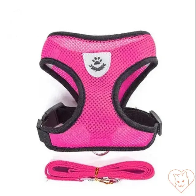 Reflective mesh cat harness in pink with matching leash set for secure outdoor adventures.